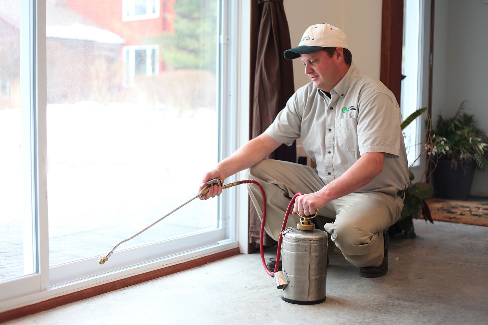 Effective Pest Control Services: Eradicating Pests for Good